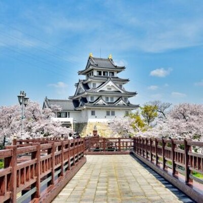 【岐阜 花見スポット】墨俣一夜城・犀川堤の桜