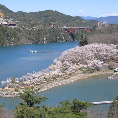 【岐阜 花見スポット】恵那峡さくらまつり