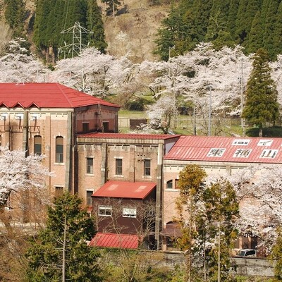 【岐阜 花見スポット】イビデン東横山発電所の桜