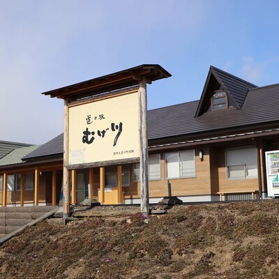 【岐阜 道の駅】むげ川