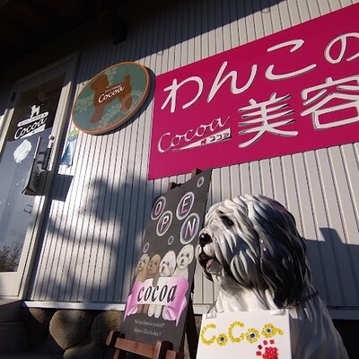 わんこの美容室cocoa